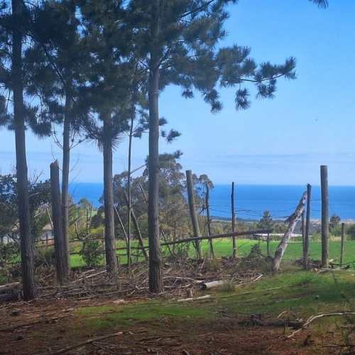 Venta Terreno con vista al Mar - Cahuil